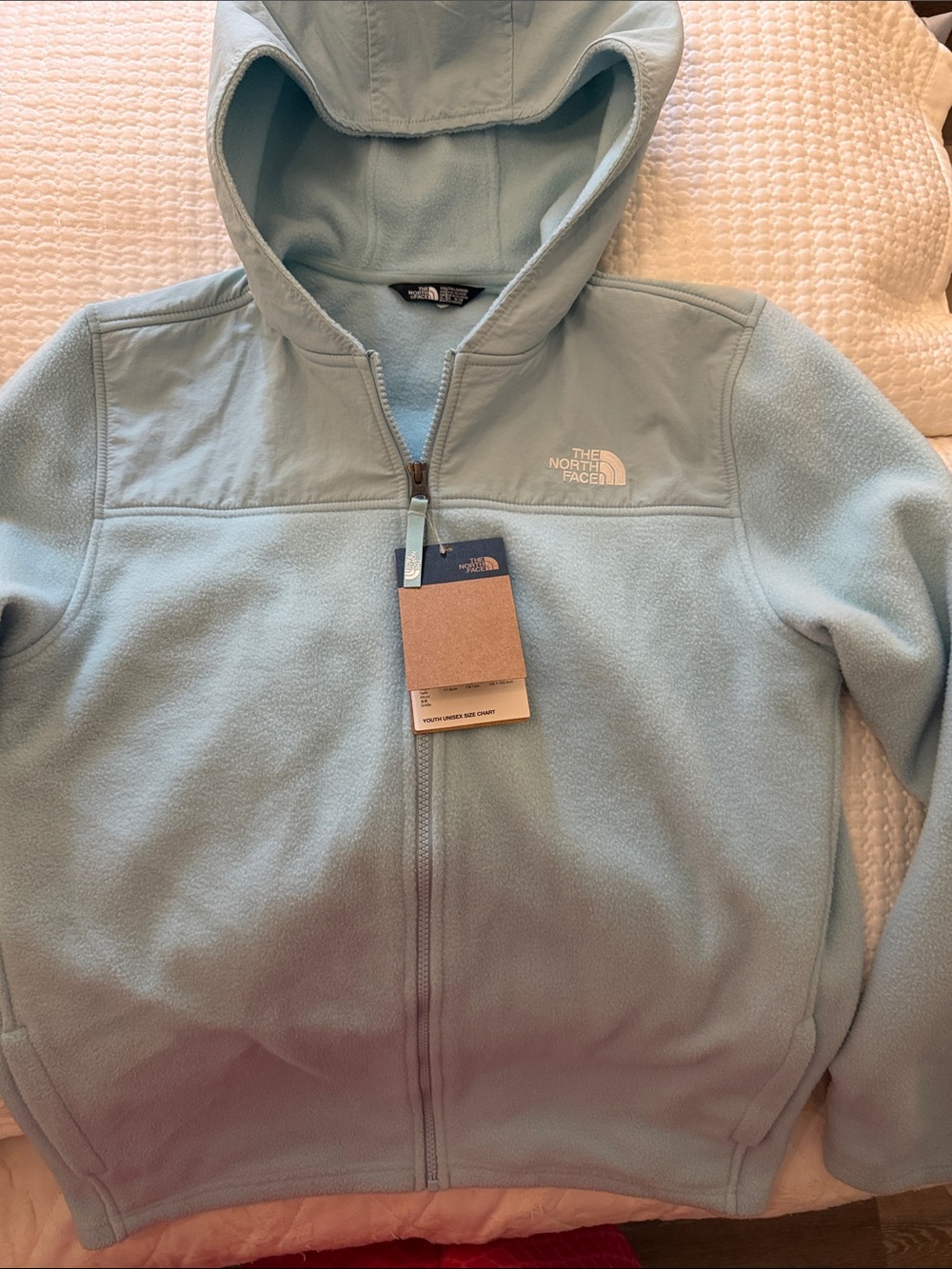 The North Face Pale Blue Hooded Fleece Jacket